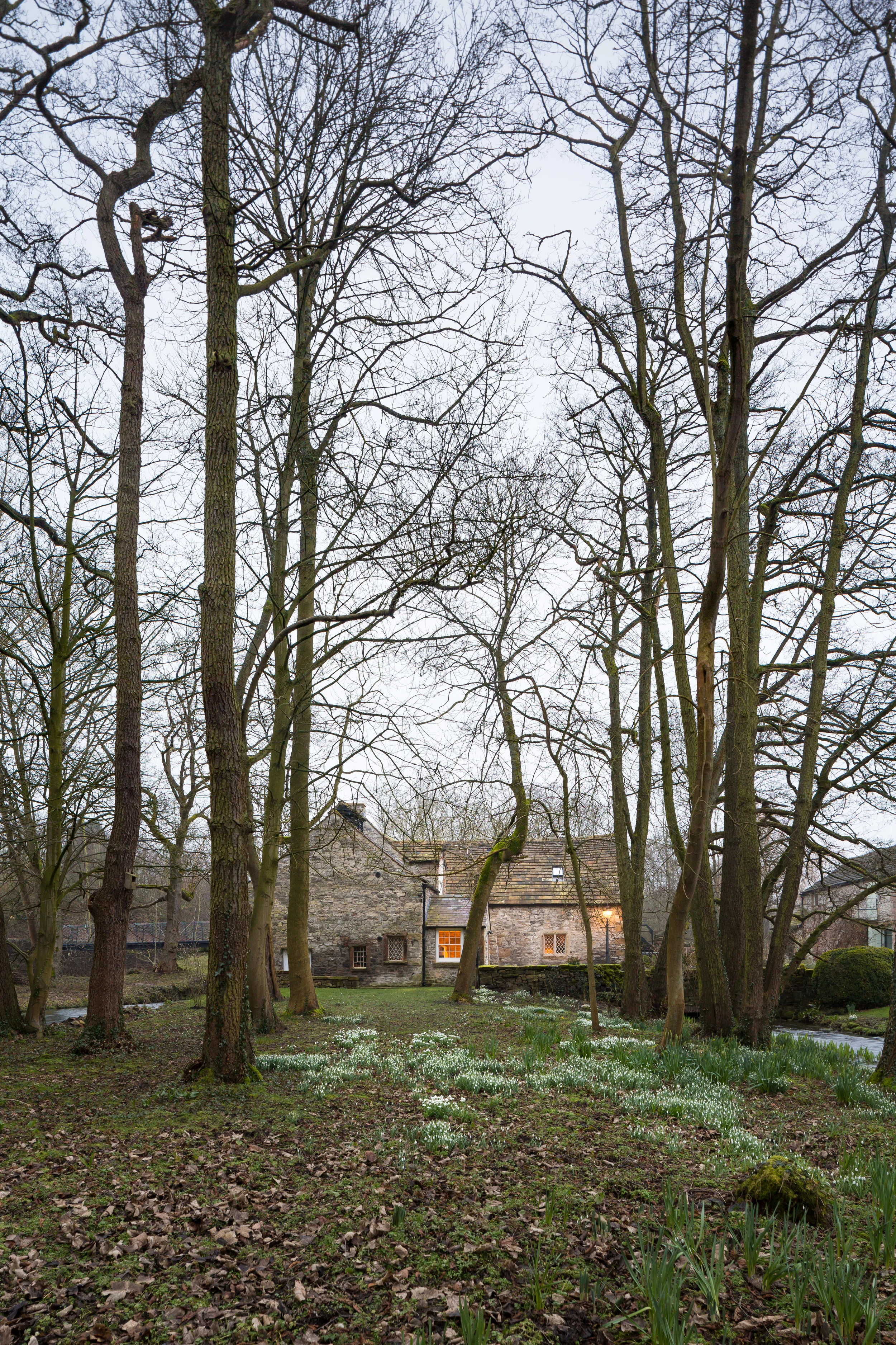 GreyGriffiths_AshfordMill_07.jpg