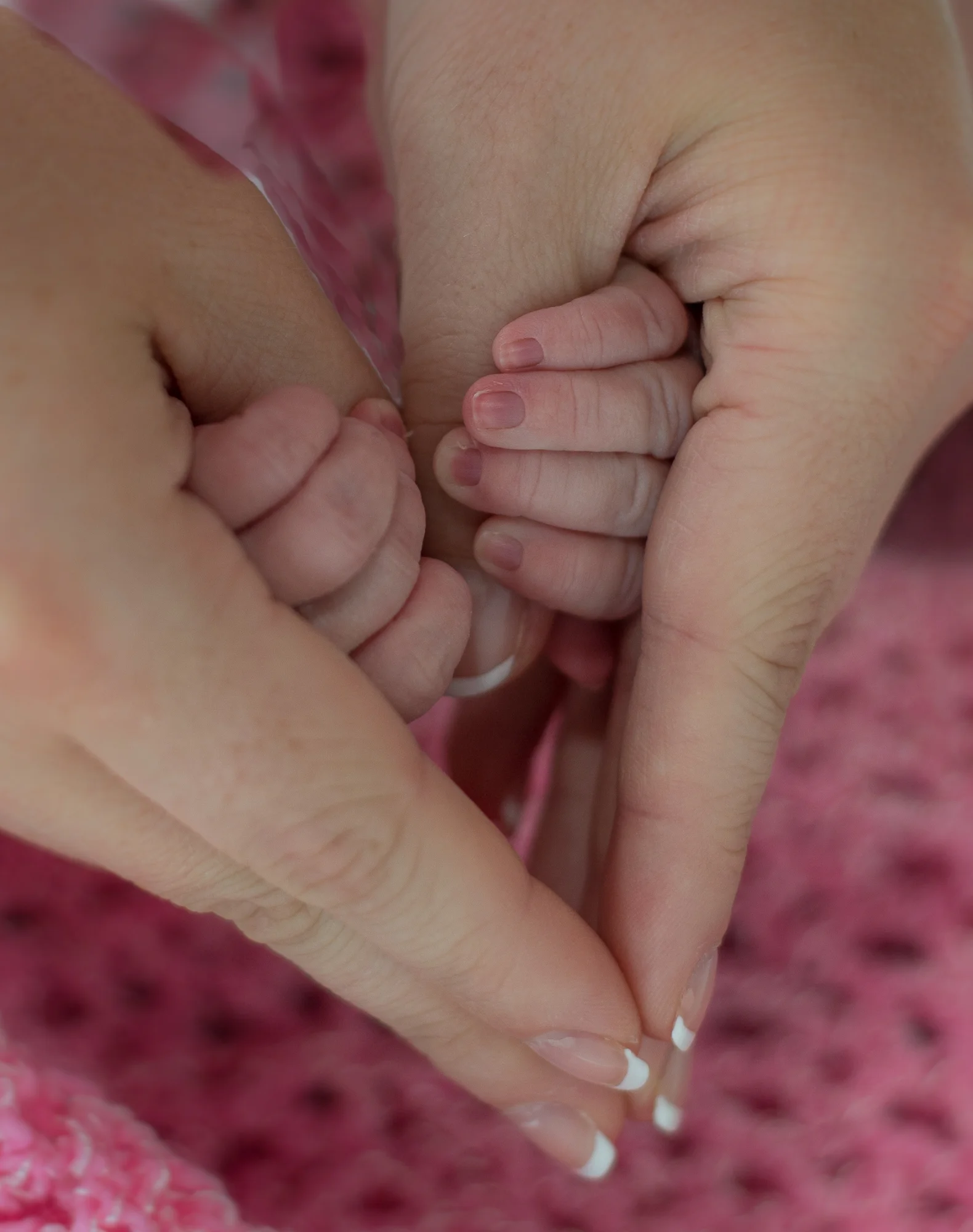 love hands-1372.jpg