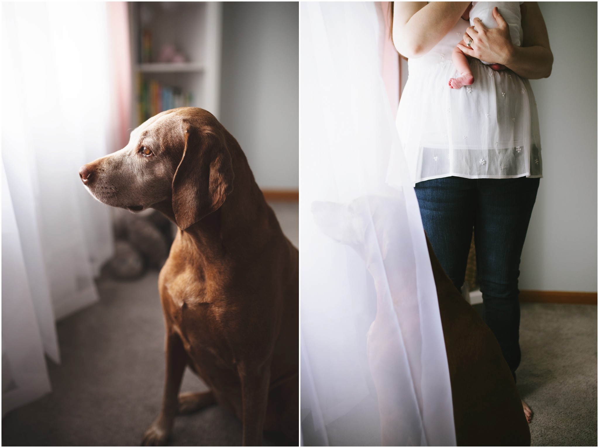 women holding her new baby with dog