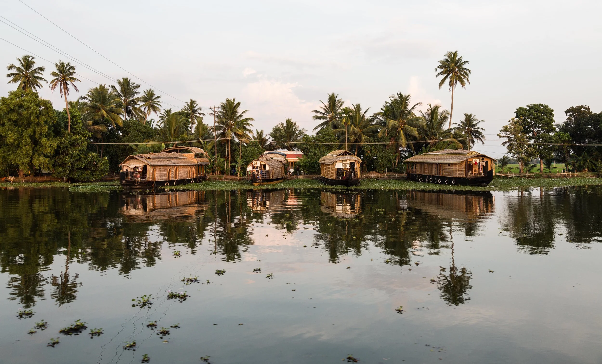 Backwaters-6.jpg
