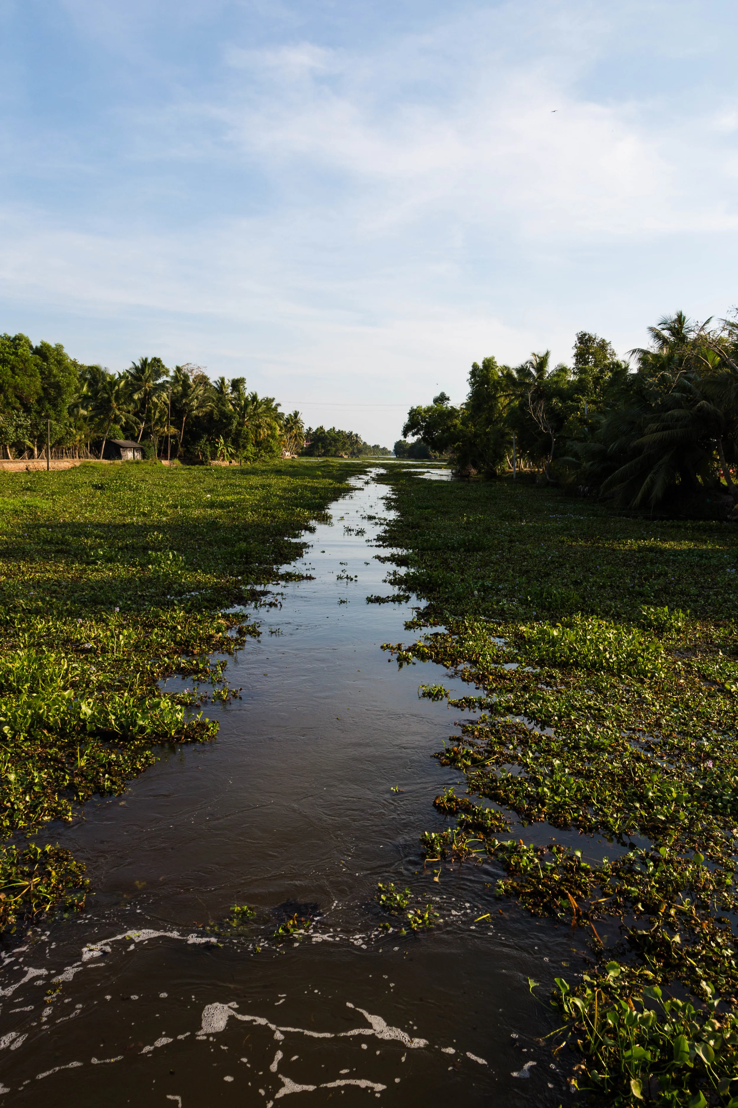 Backwaters-10.jpg