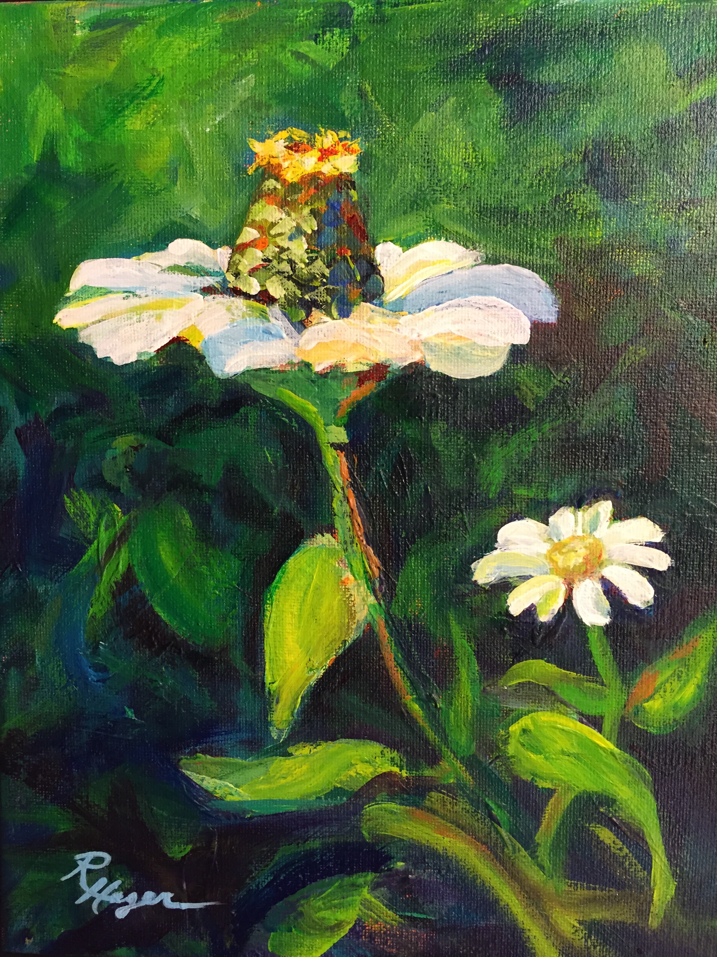 White Zinnias #19 - SOLD