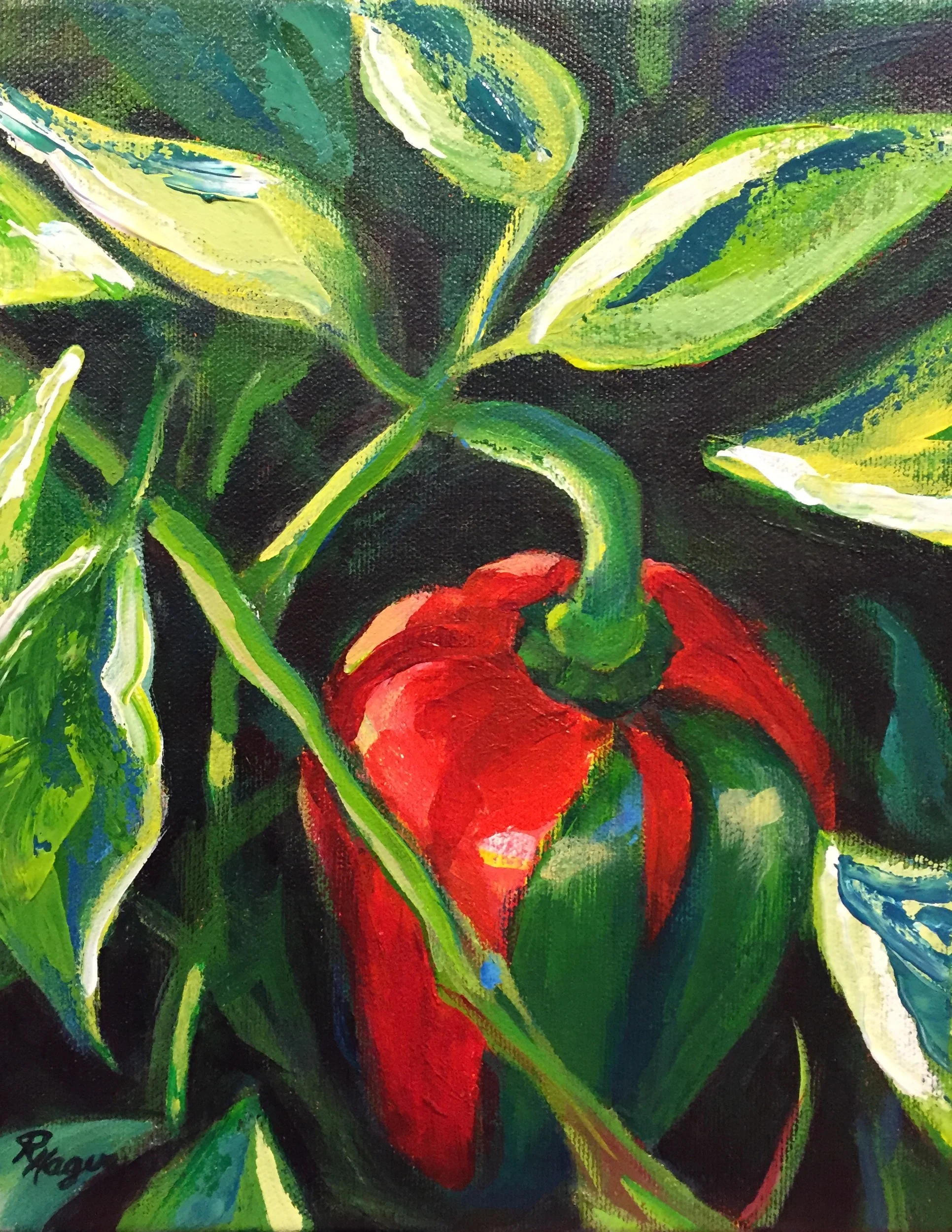Red Pepper #32 - SOLD