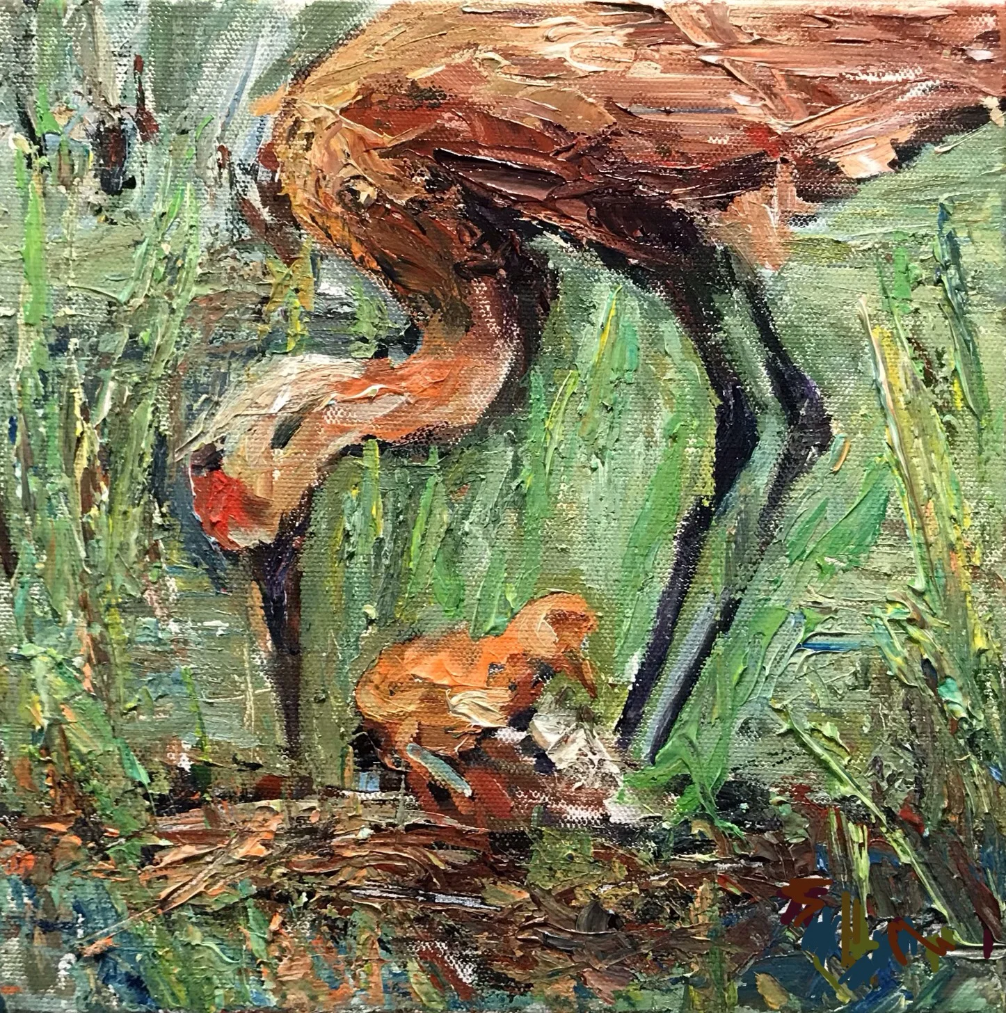 Sandhill Crane and Chick #206- SOLD