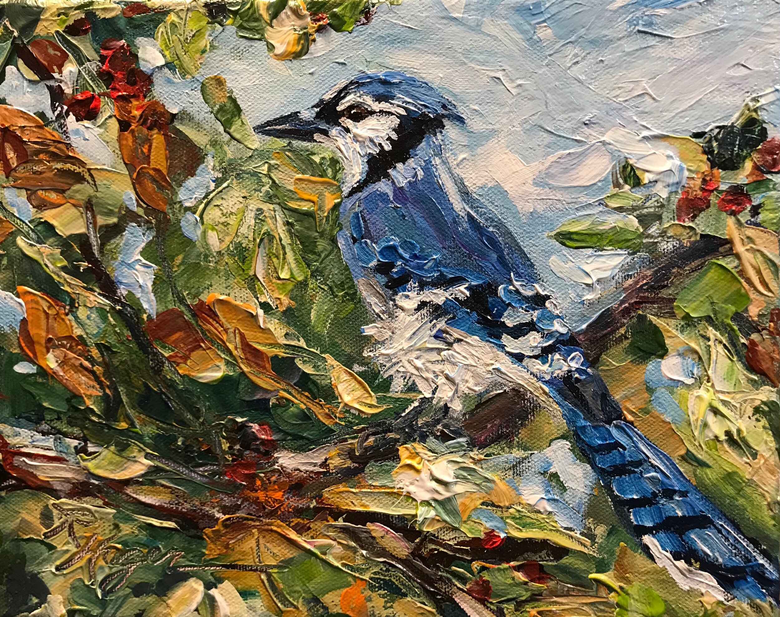 Blue Jay #312-  SOLD