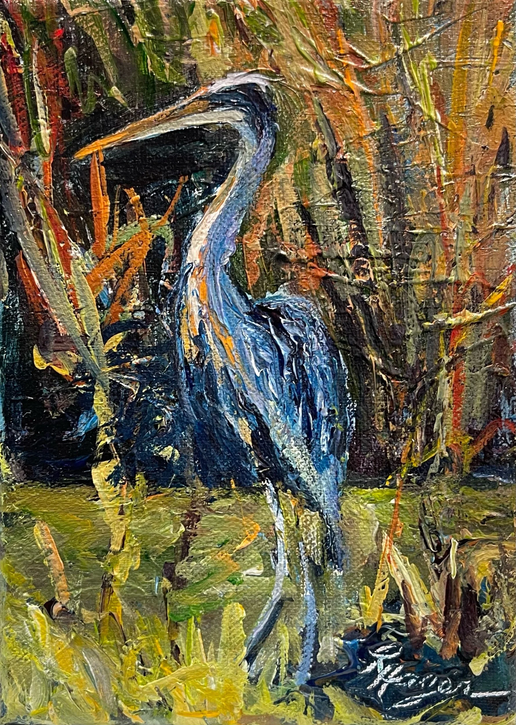 "Blue Heron" 