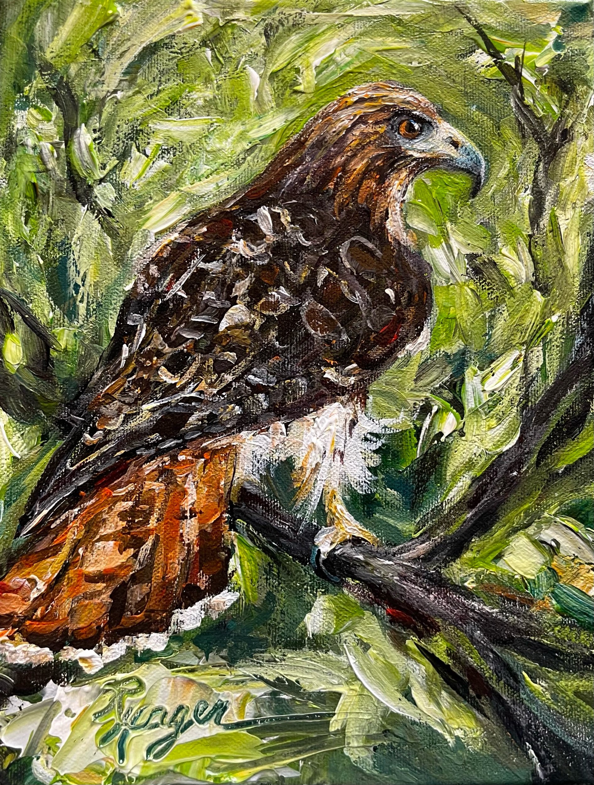 "Red-tailed Hawk" #527.    SOLD