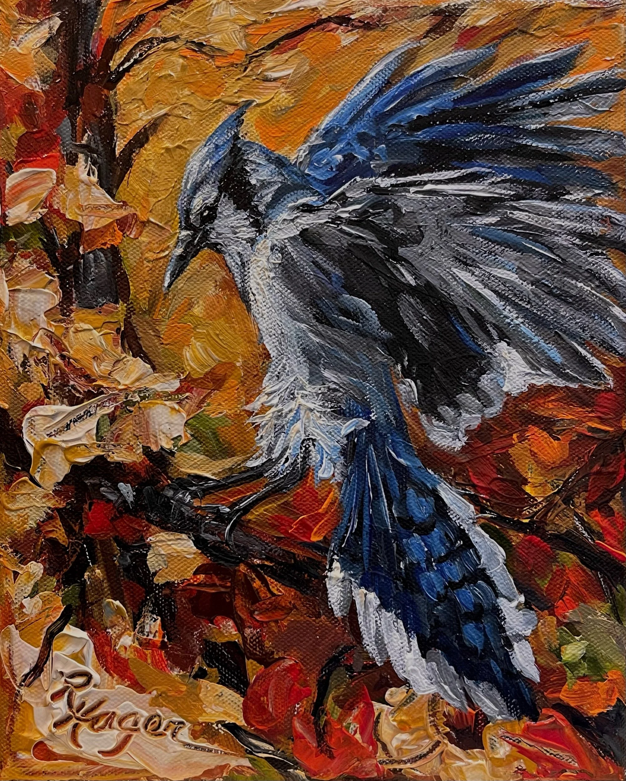Autumn Blue Jay #547.jpeg