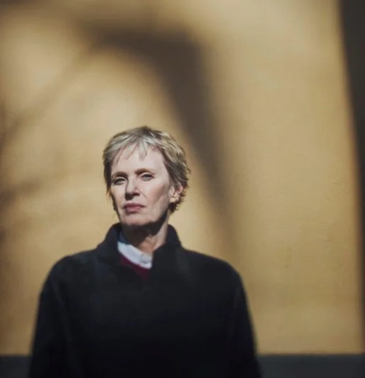 Siri Hustvedt 2026.jpg