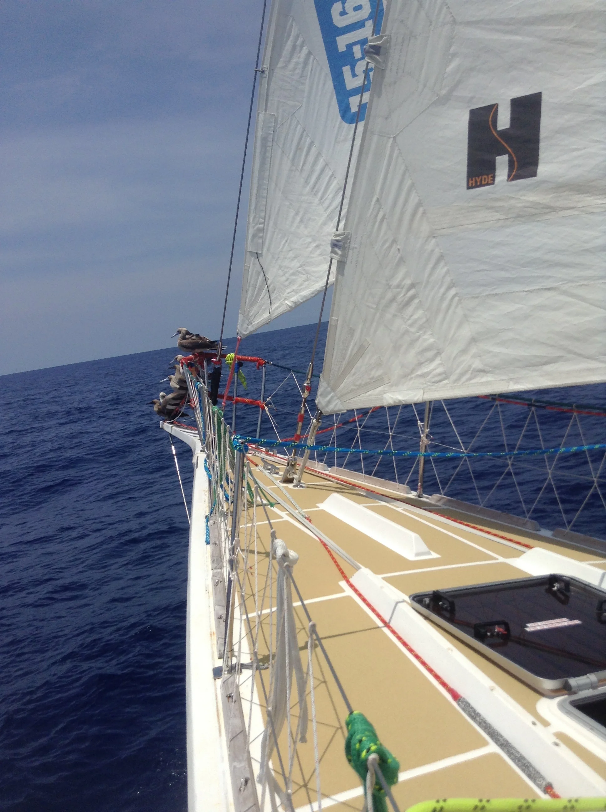 Passengers on the bow sprit