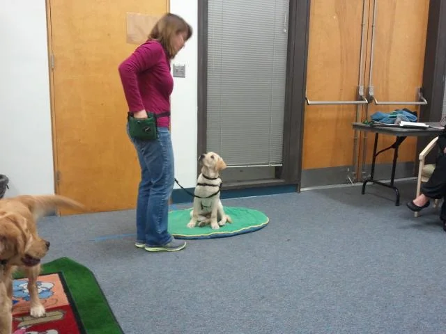 EXTRA TRAINING CLASS & INTERESTED PUPPY RAISERS OR SITTERS 