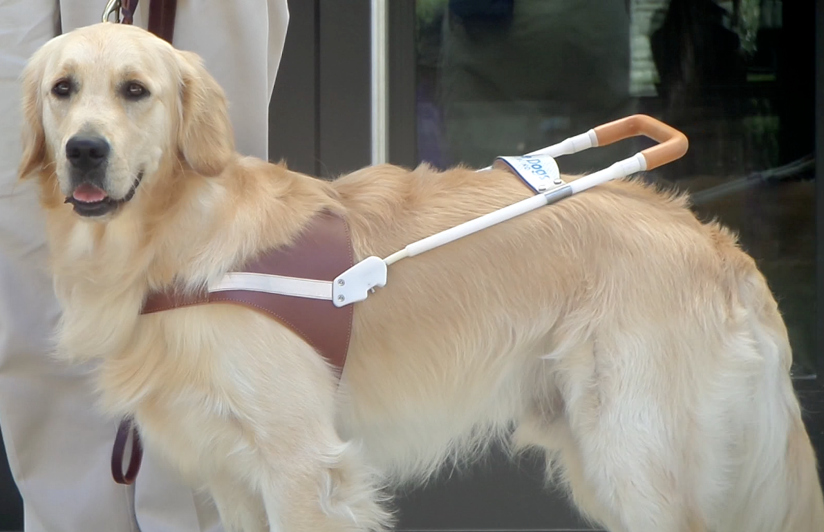 Club Outing: Helping out with OC GUIDE DOG ALUMNI CHAPTER MEETING-