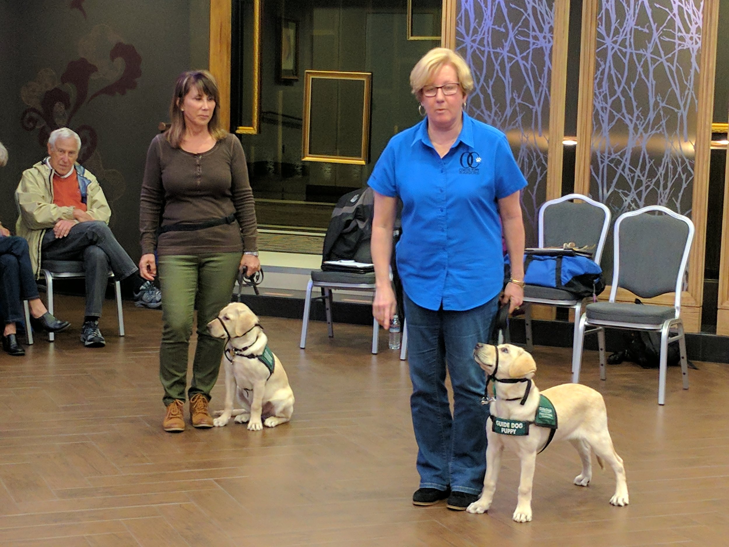EXTRA TRAINING CLASS & INTERESTED PUPPY RAISERS OR SITTERS