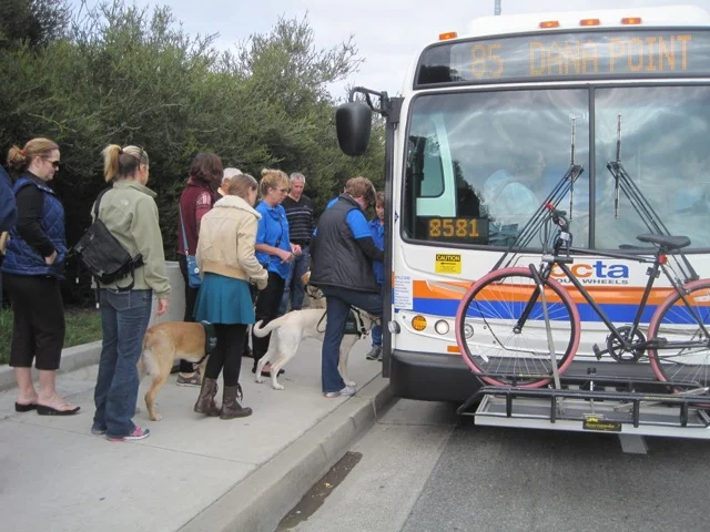 OCTA Bus Training