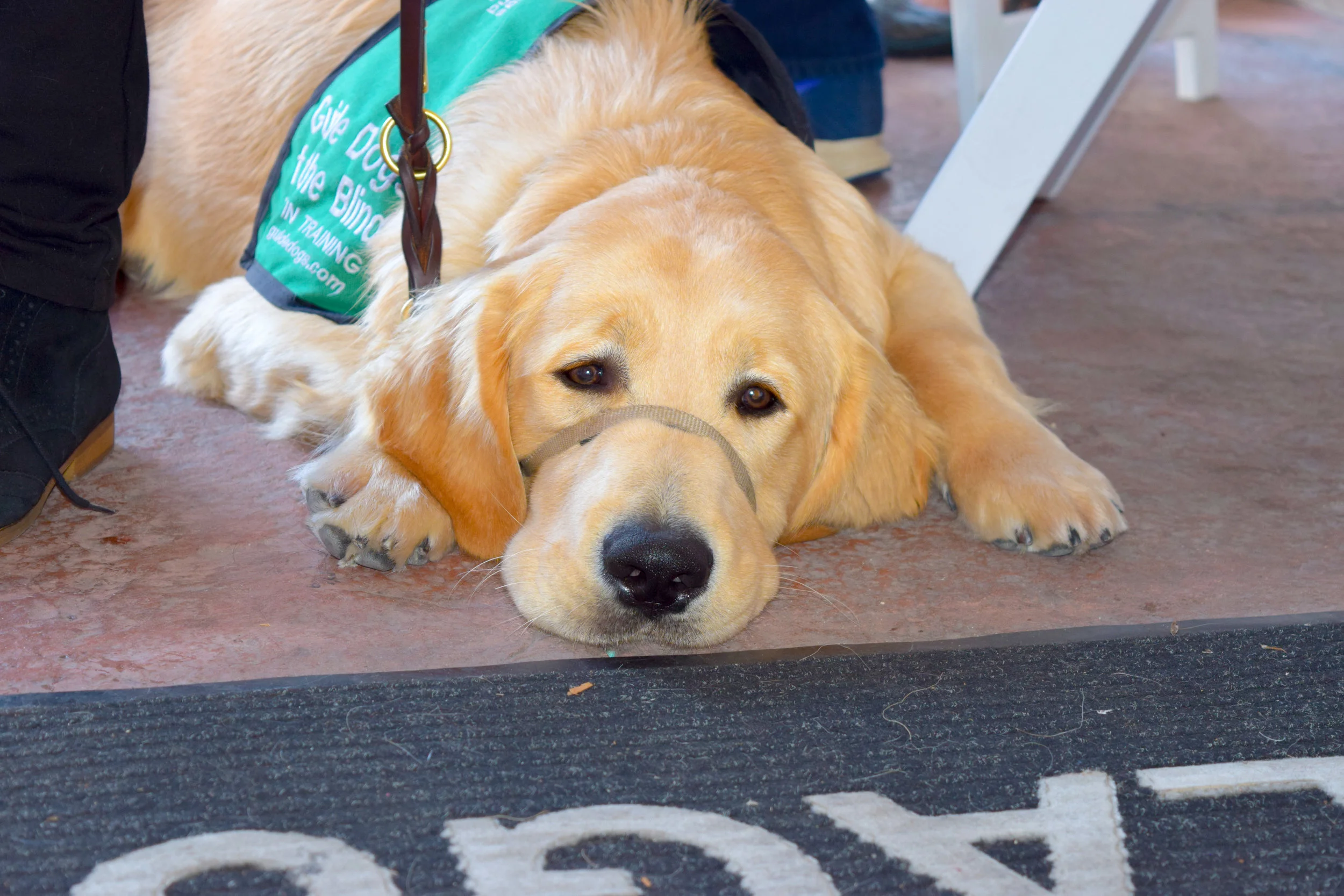 Wine for Woofers 9.jpg