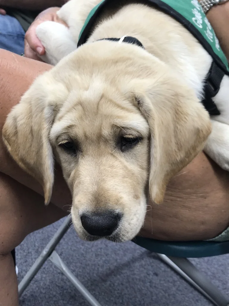 linda on lap.jpg
