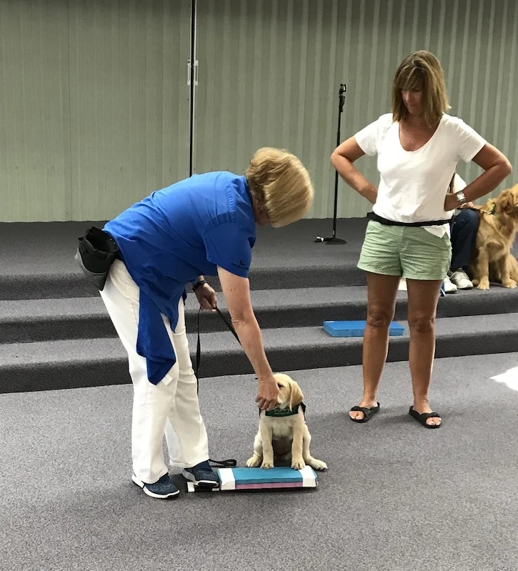 Dawn training Linda.jpg