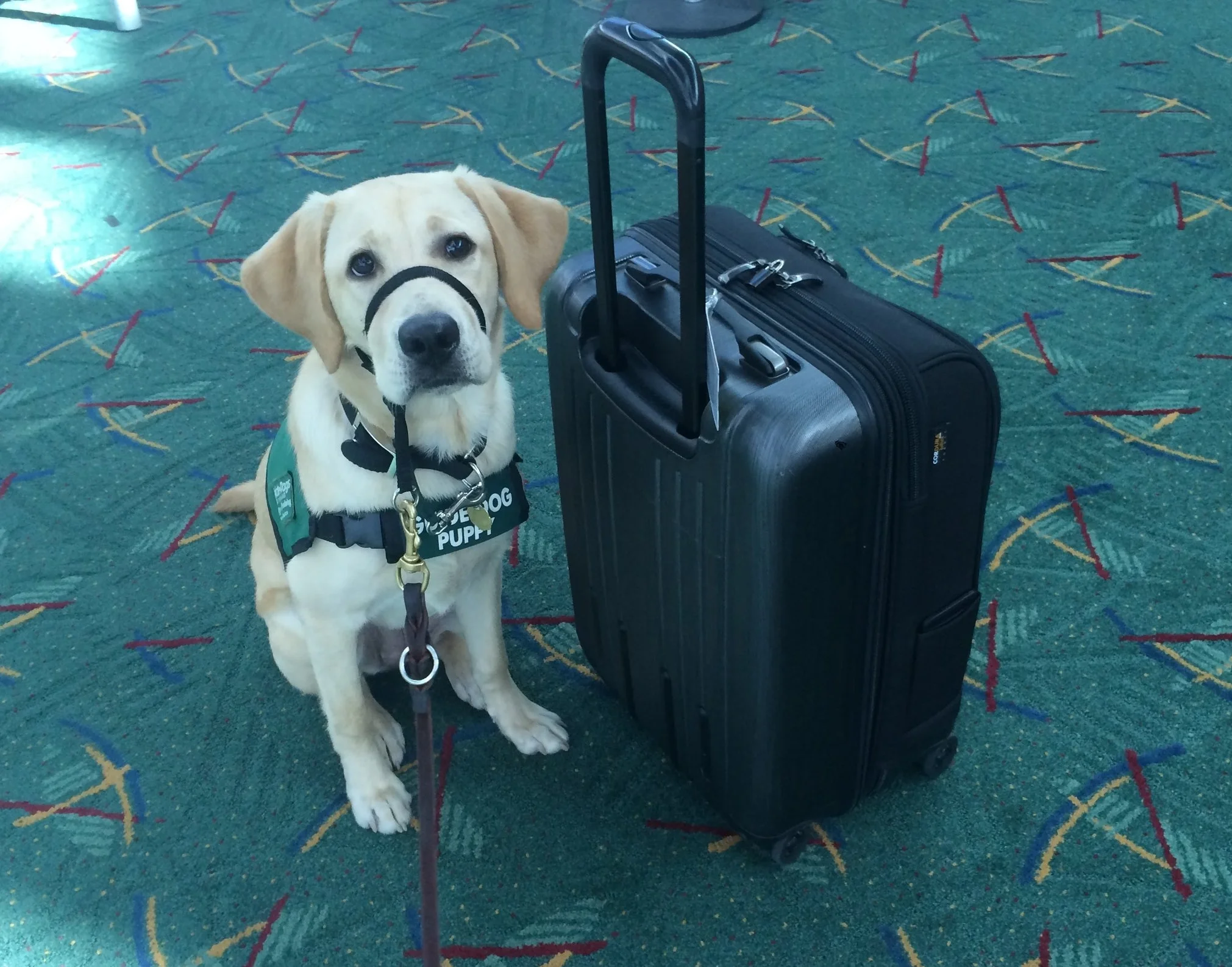 Outing: John Wayne Airport