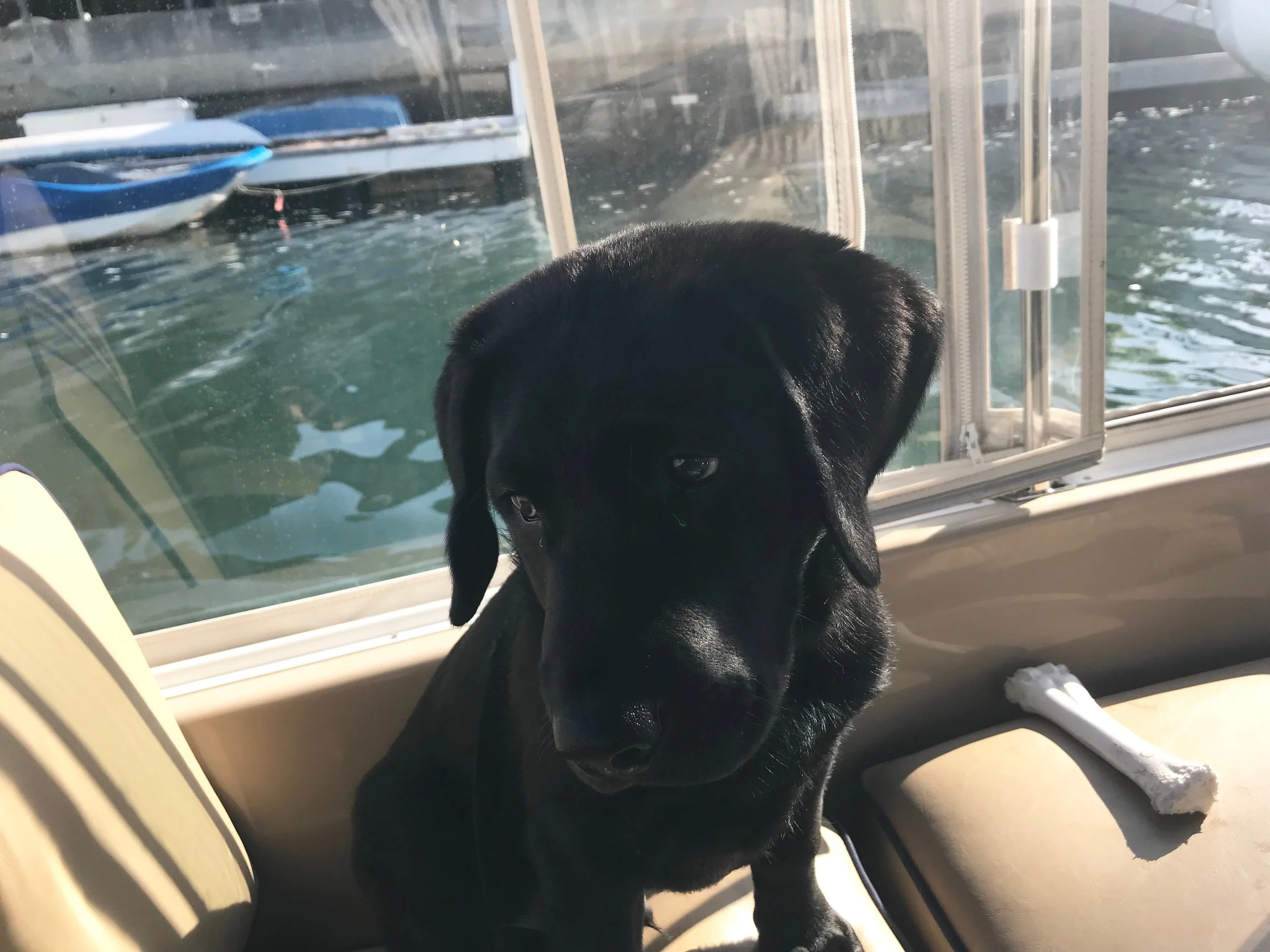 Outing: Mission Viejo Mall - meet at the food court