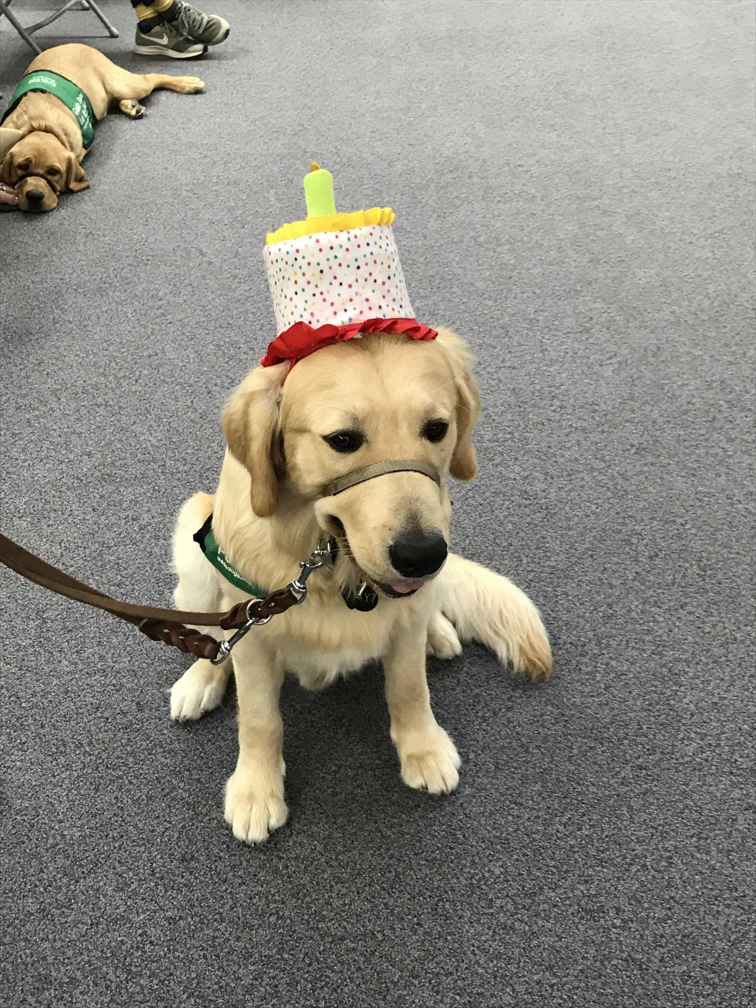 lager bday hat.jpeg