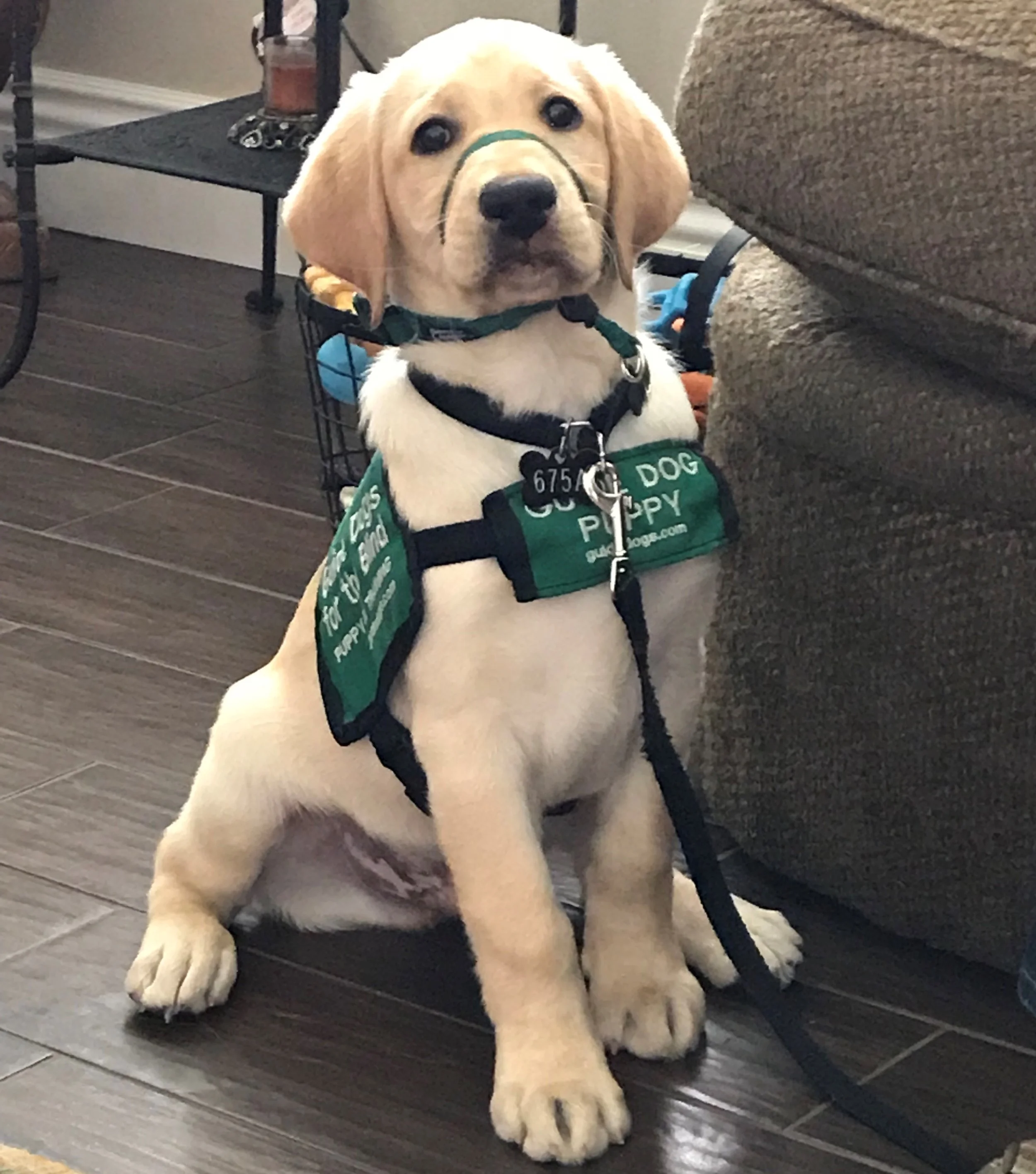 Meeting:  Oak Grove Elementary School