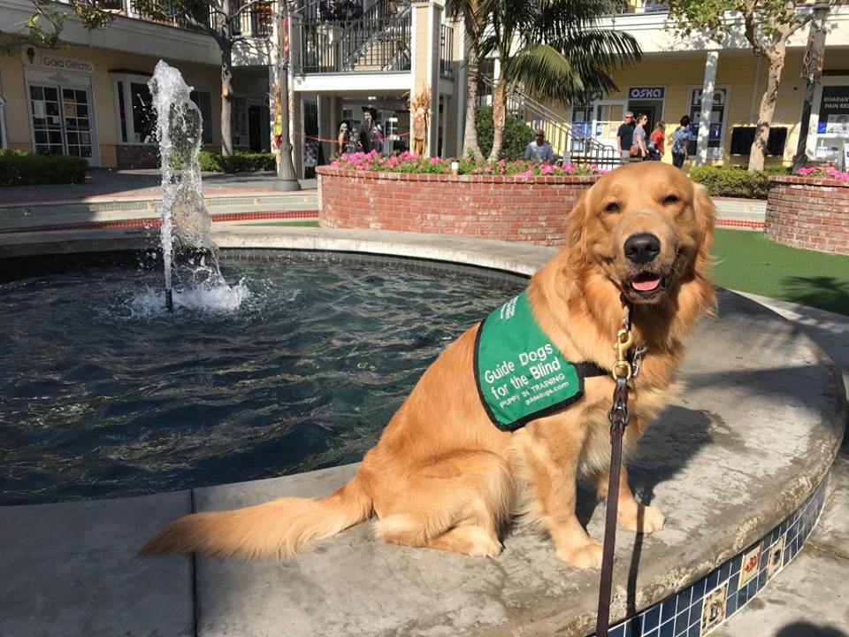 Meeting: Laguna Niguel Regional Park - Shelter 3