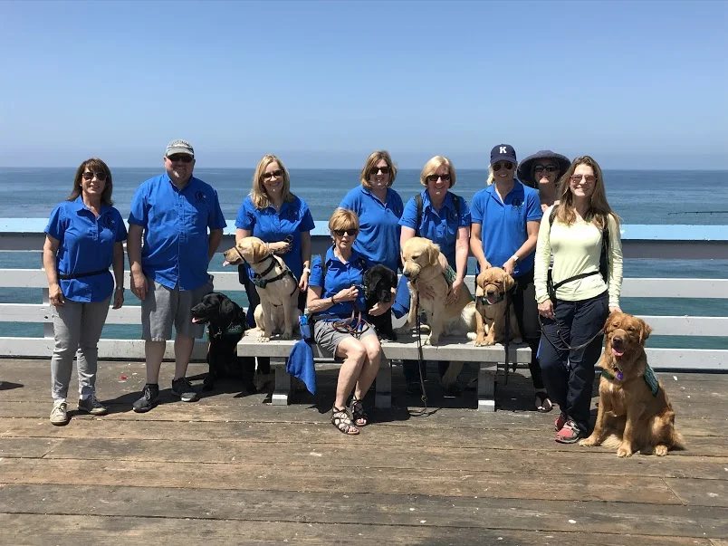 Outing: Dog bathing at Unleashed by Petco 
