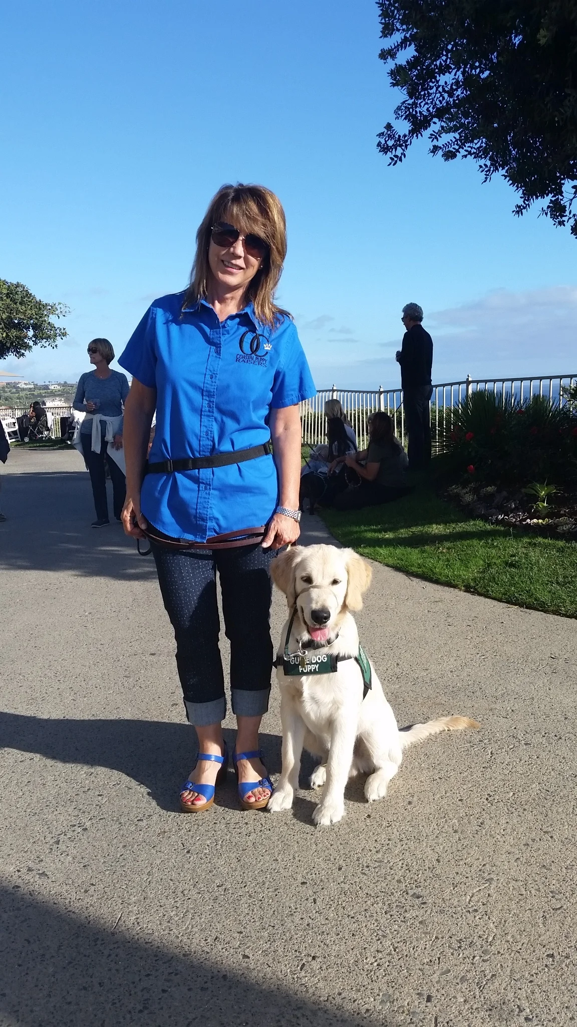 EXTRA TRAINING CLASS AND INTERESTED PUPPY RAISERS OR SITTERS