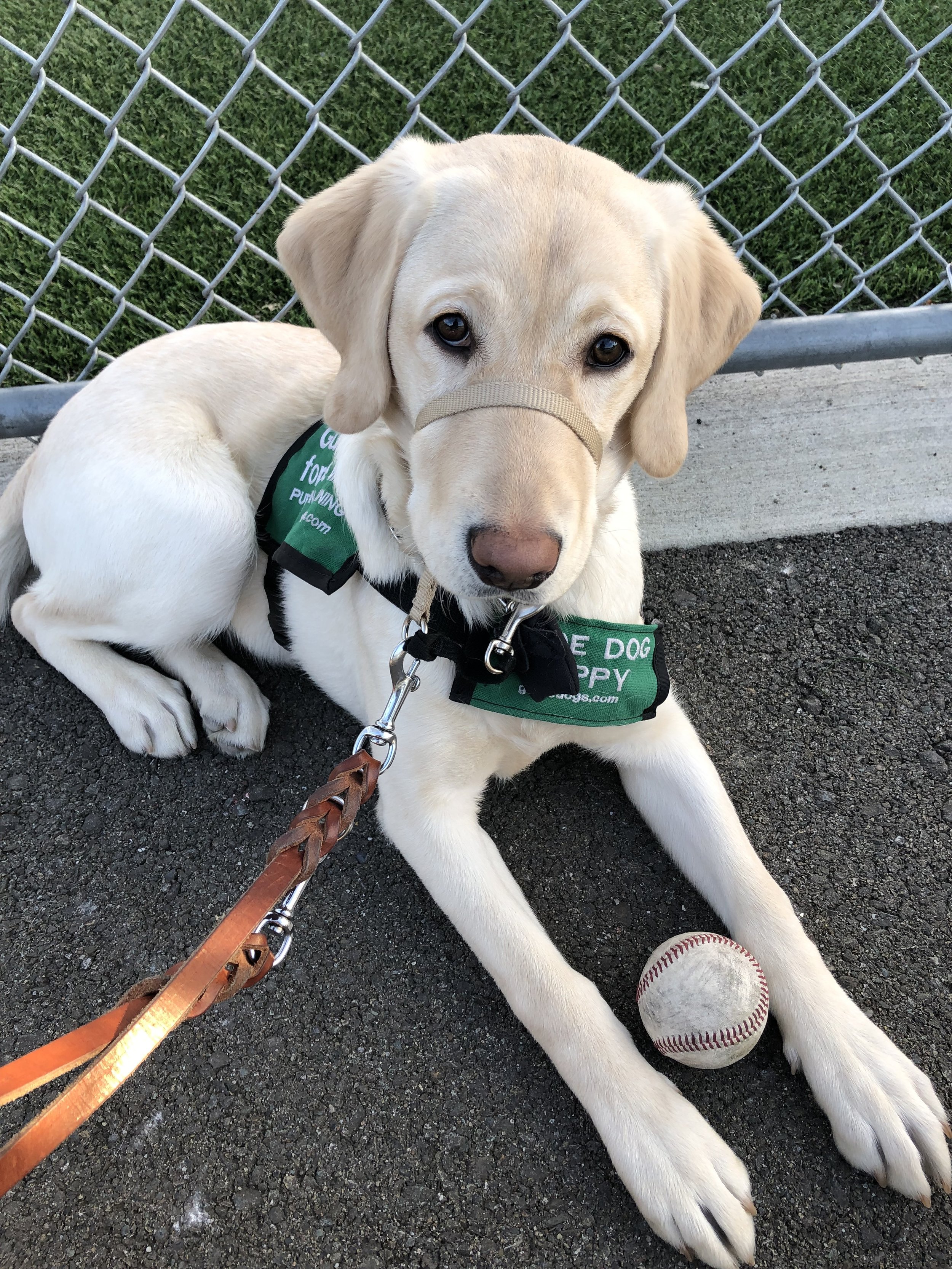 Club Meeting: Oak Grove Elementary School