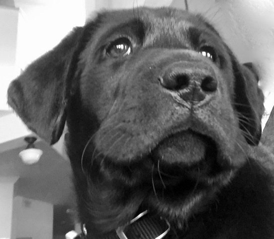 Outing: Take the bus to the Dana Point Farmers Market