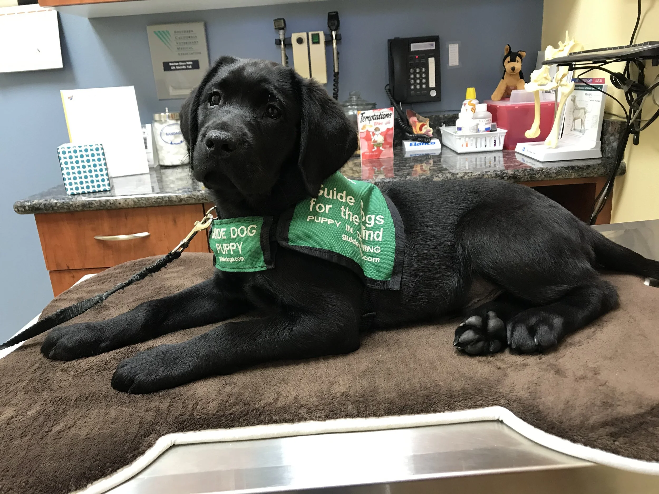 Club Meeting: General Club Meeting CANCELED