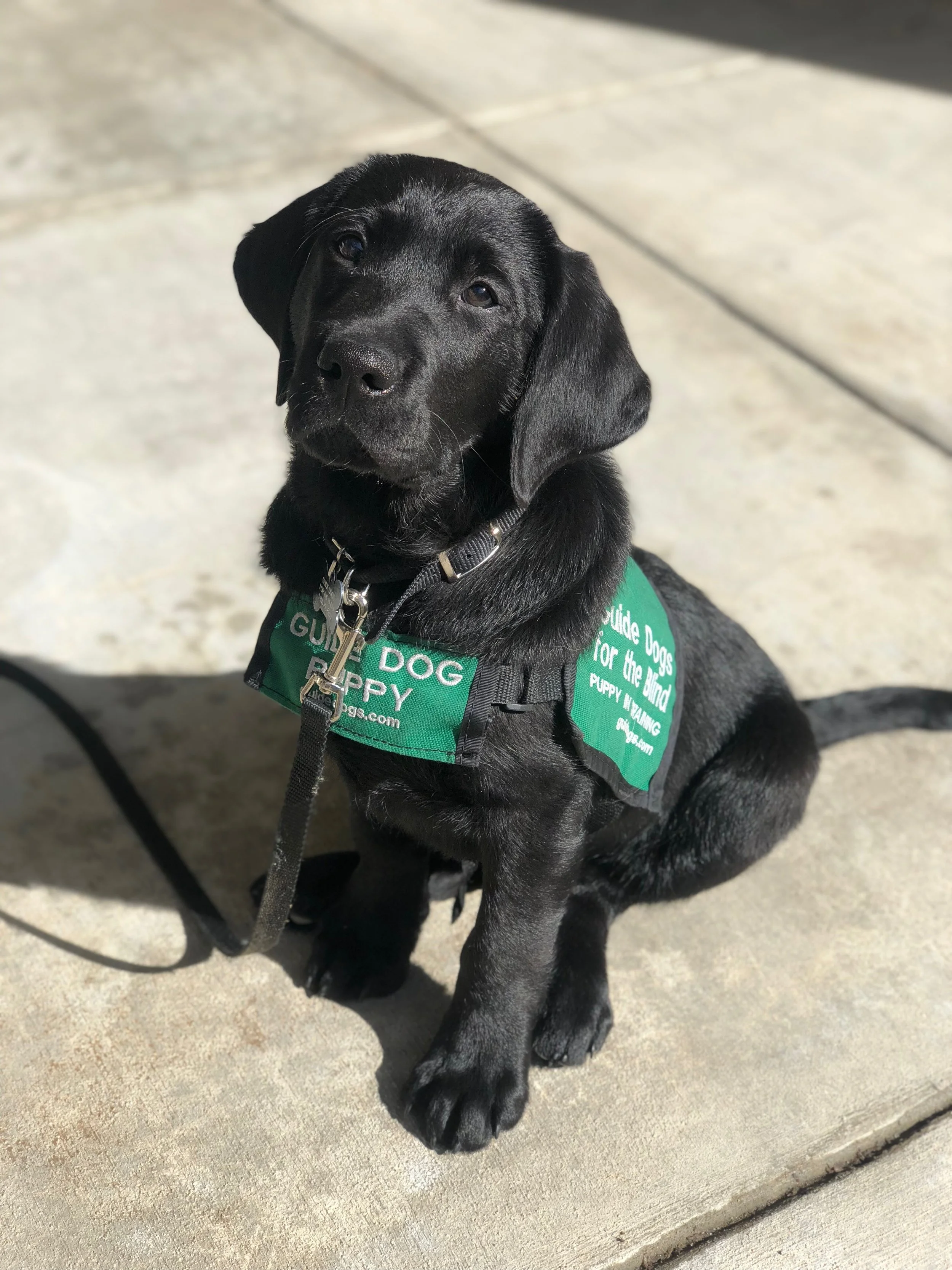 Club Meeting: Oak Grove Elementary School