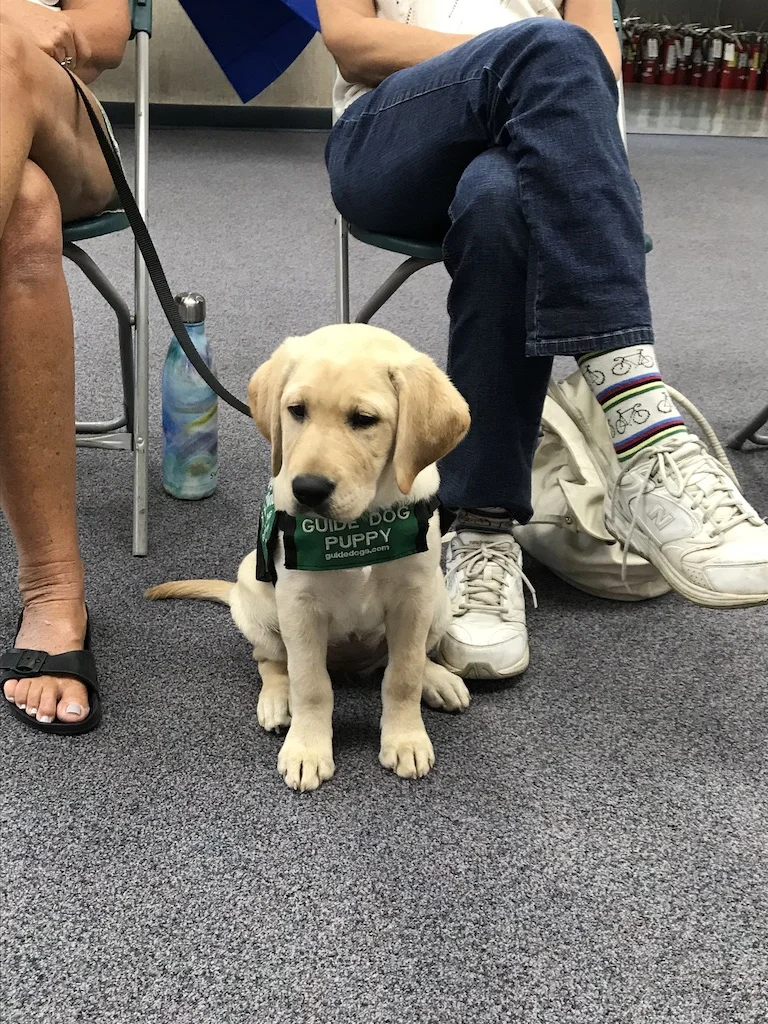 EXTRA TRAINING CLASS - CANCELED