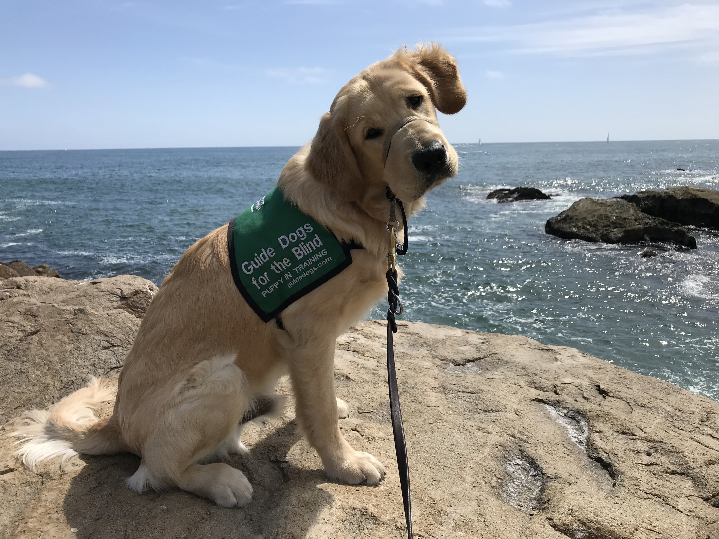 Outing: CANCELED - Zoom meeting 