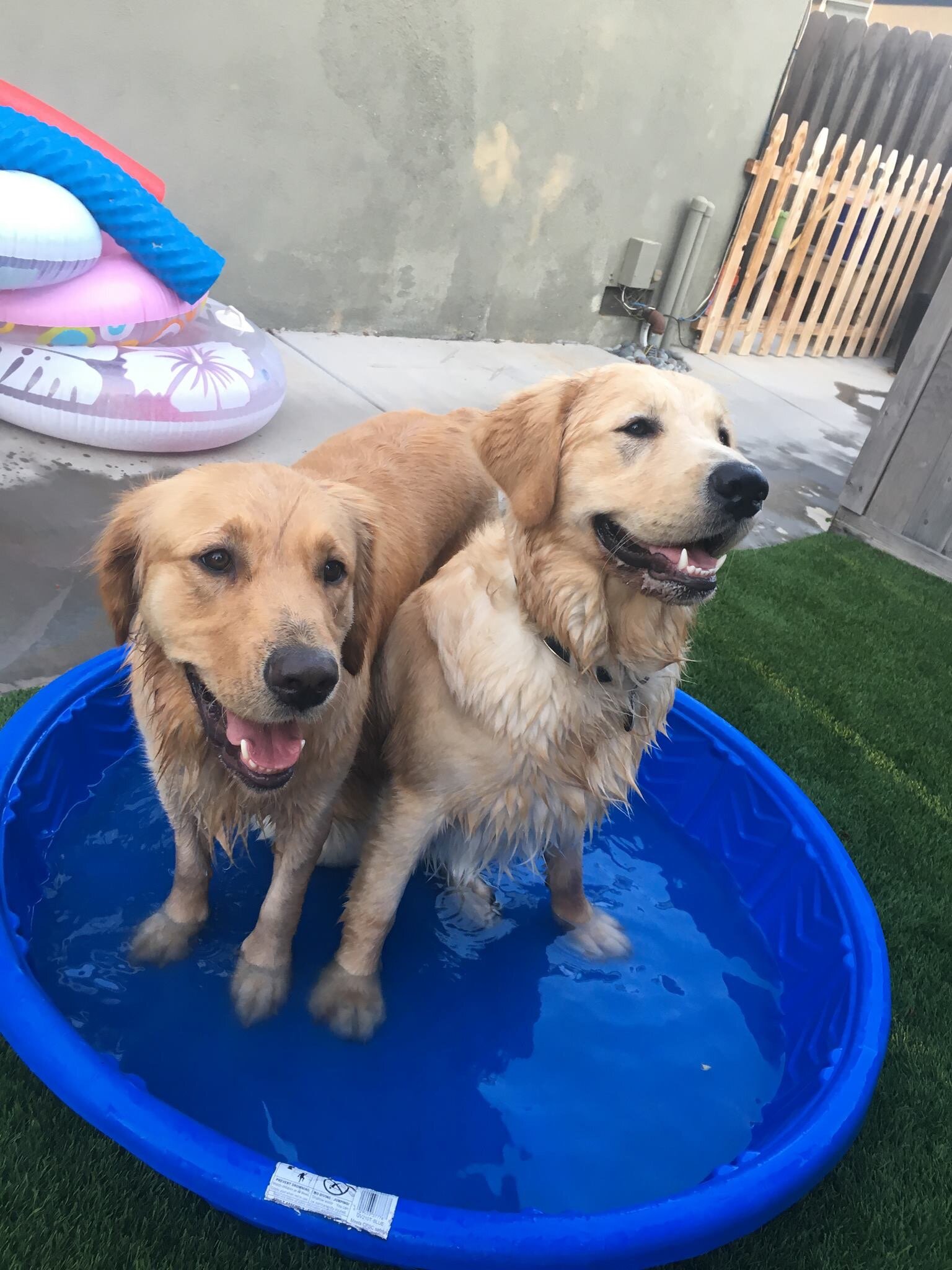 Outing: BBQ Swim Party