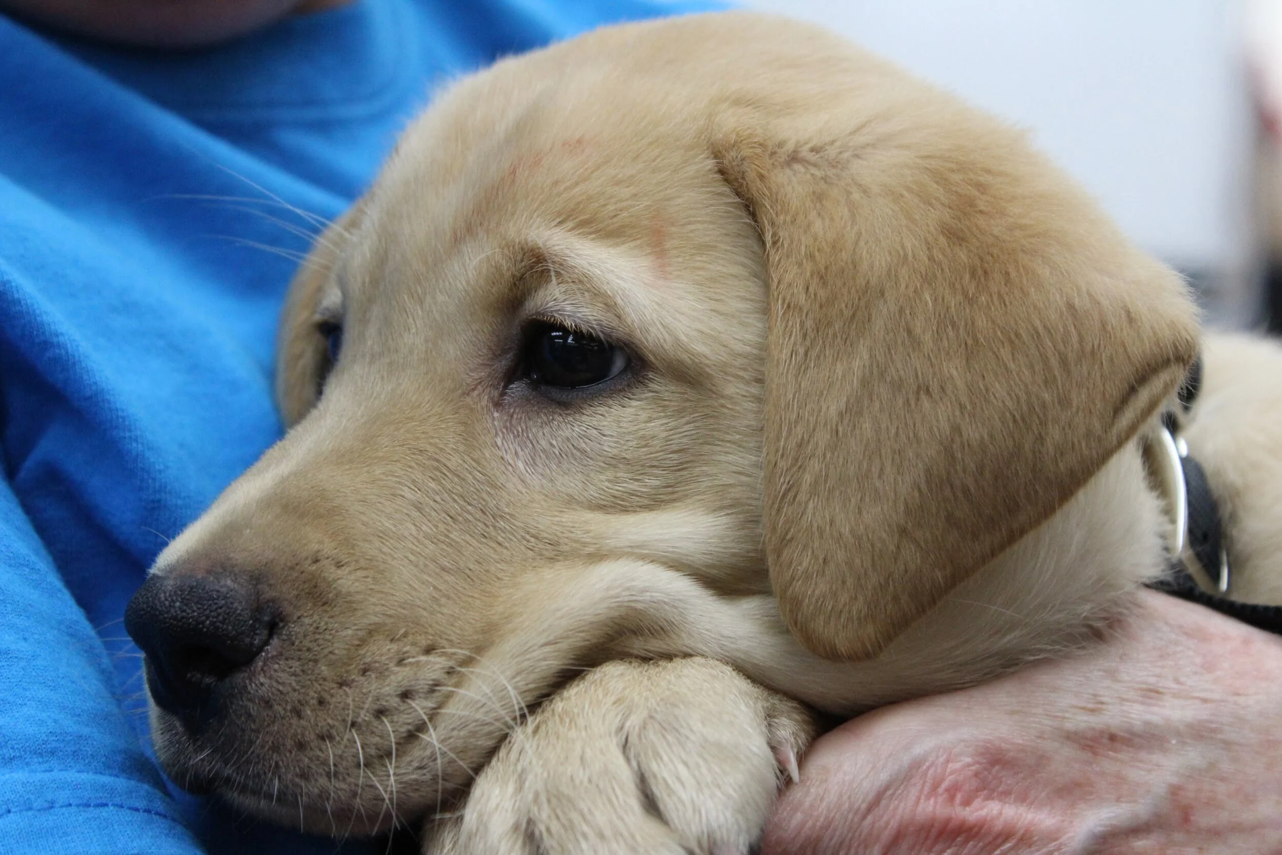 Outing: San Clemente Outlet Mall