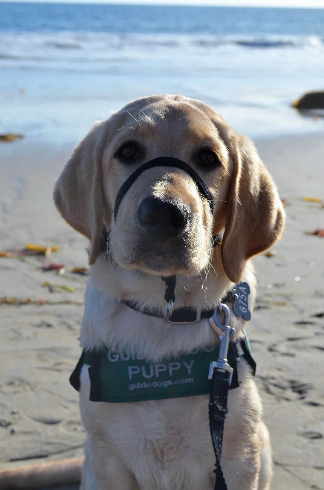 Club Meeting: Oak Grove Elementary School