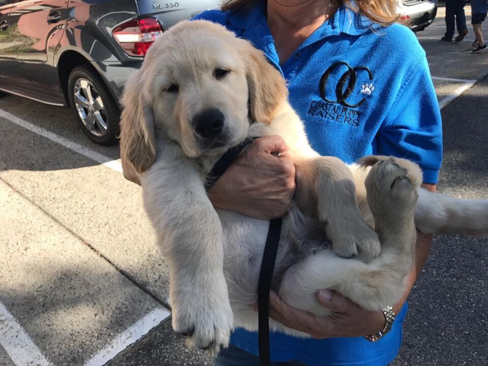 PUPPY TRUCK: Time and place TBD