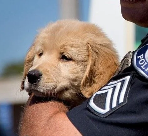 PUPPY TRUCK: Time and place TBD