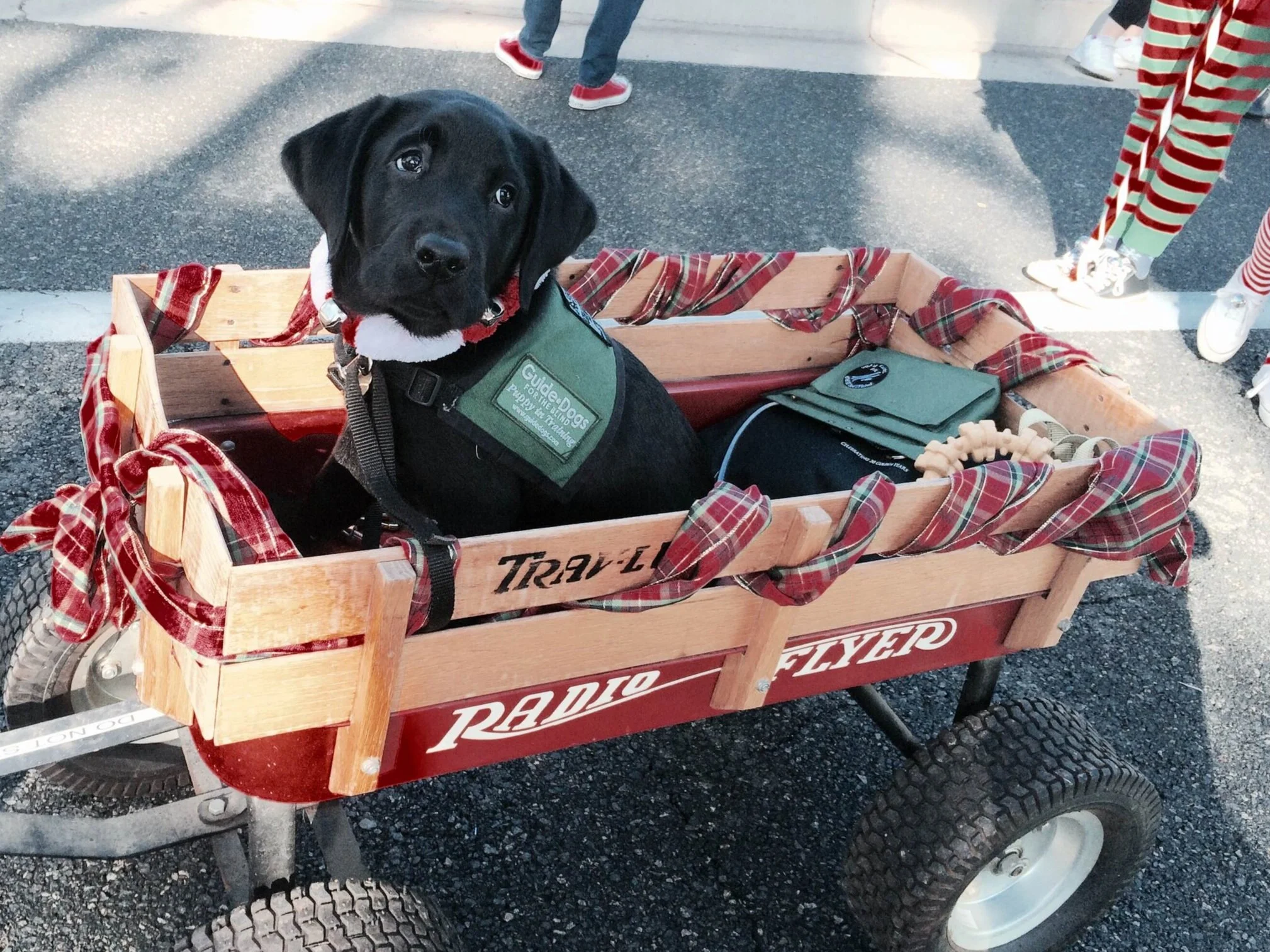 Laguna Niguel Holiday Parade