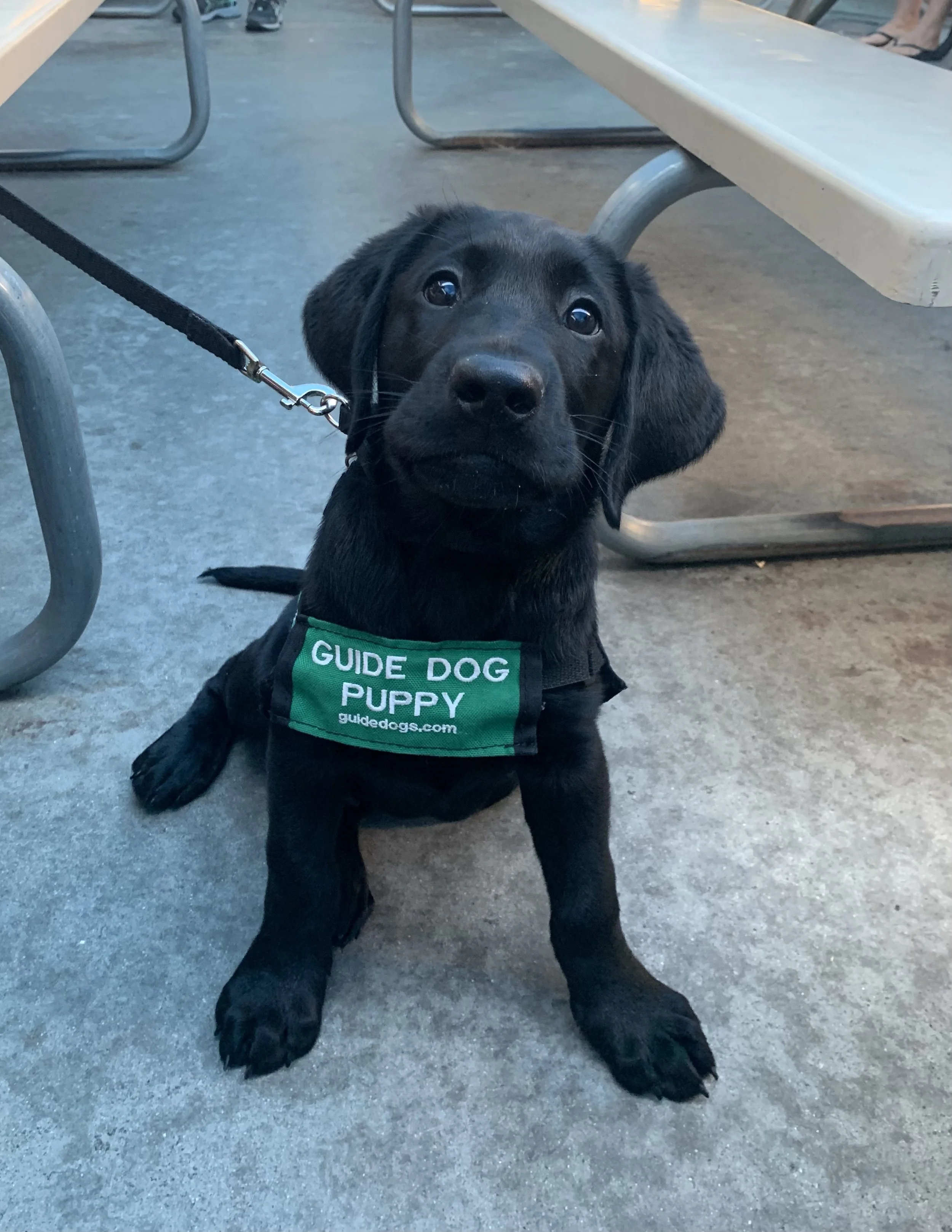 Club Outing: Laguna Niguel Regional Park