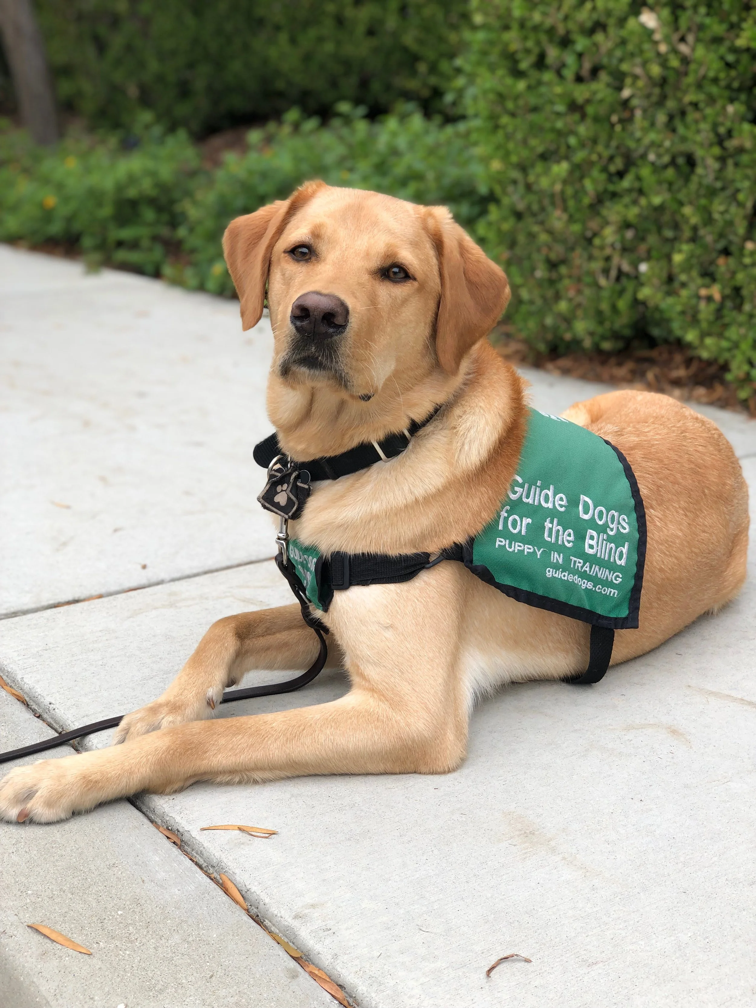 Club Meeting: Oak Grove Elementary School