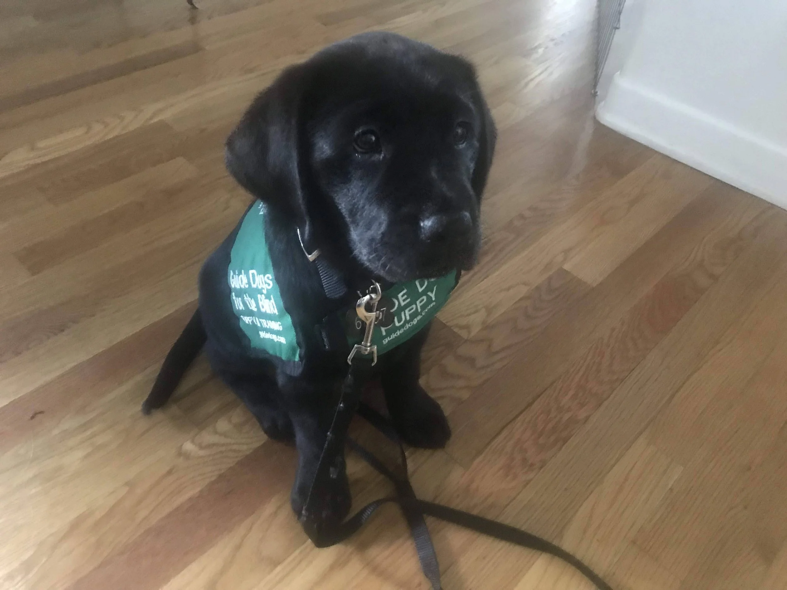 Club Outing: Irvine Spectrum Center