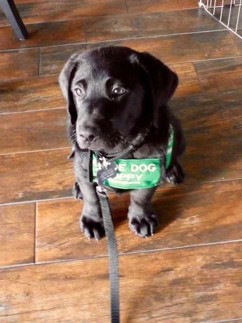 Club Meeting: Oak Grove Elementary School