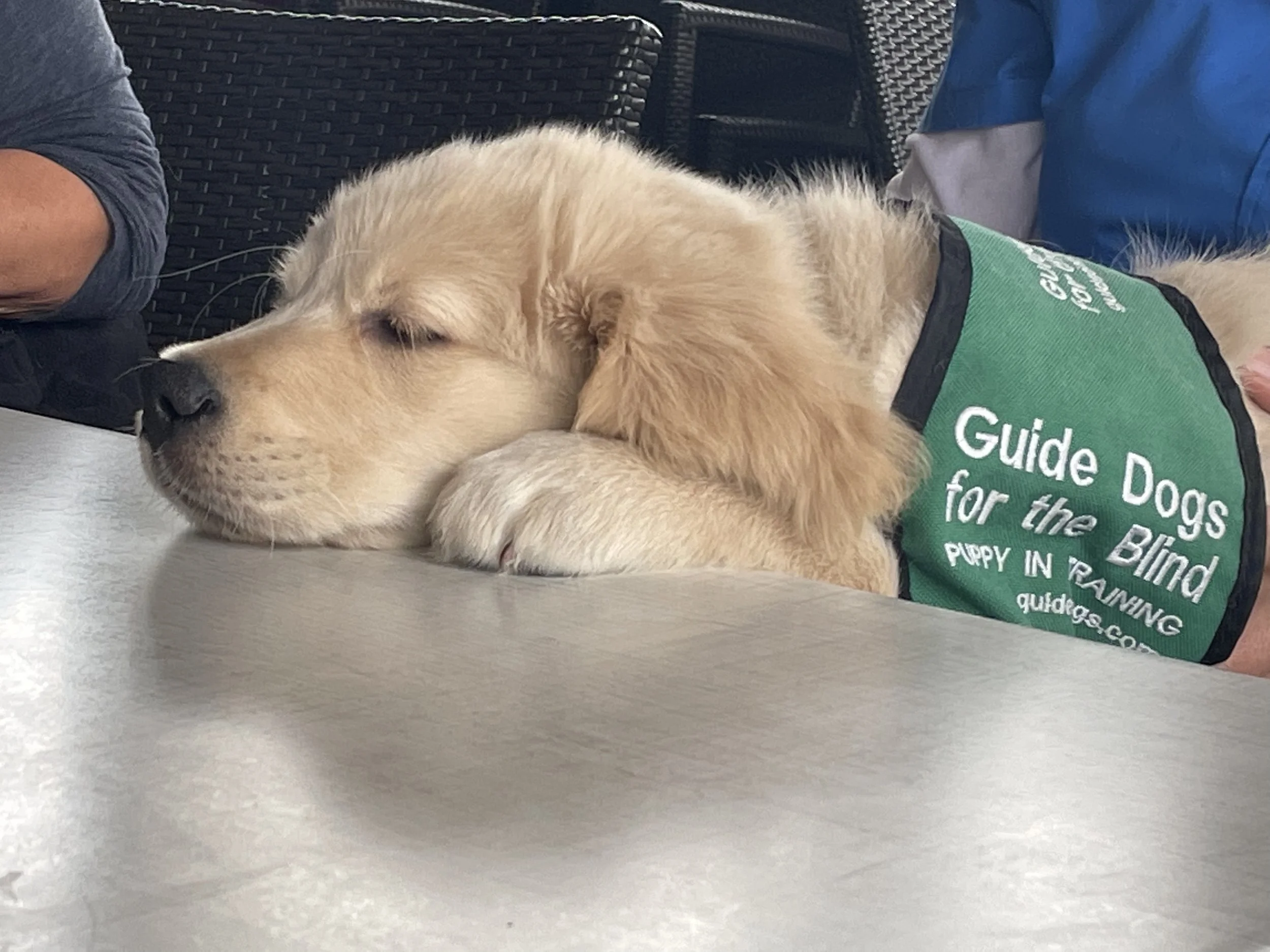 Club Meeting: Oak Grove Elementary School