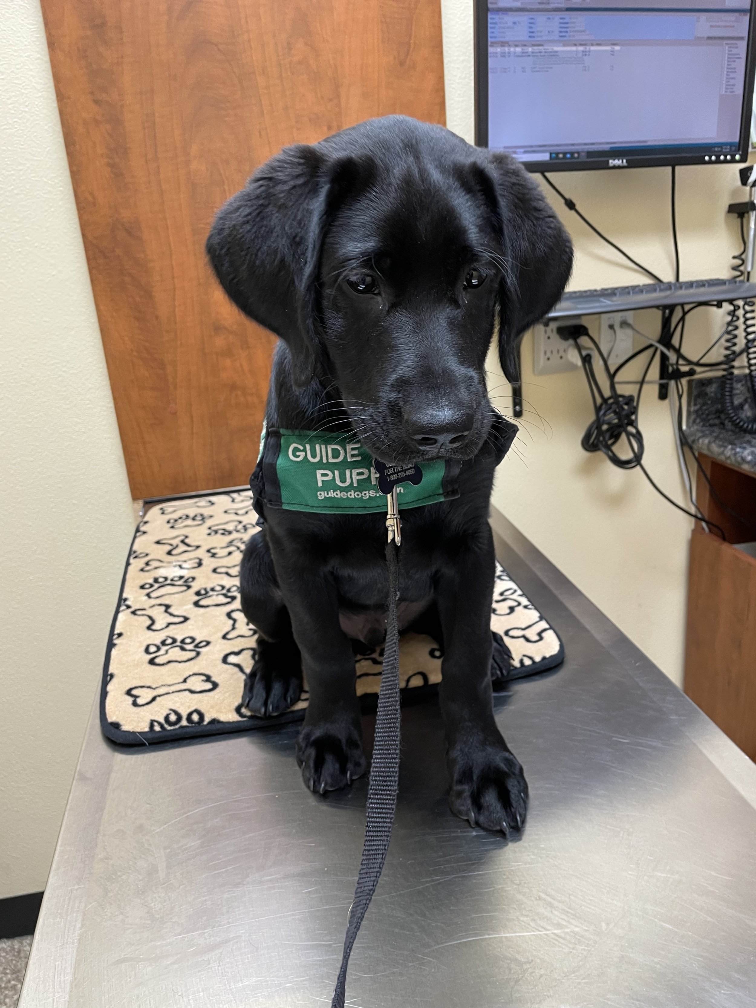 Club Meeting: Oak Grove Elementary School