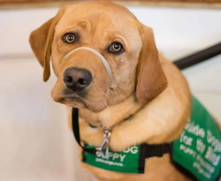 Club Meeting: Oak Grove Elementary School