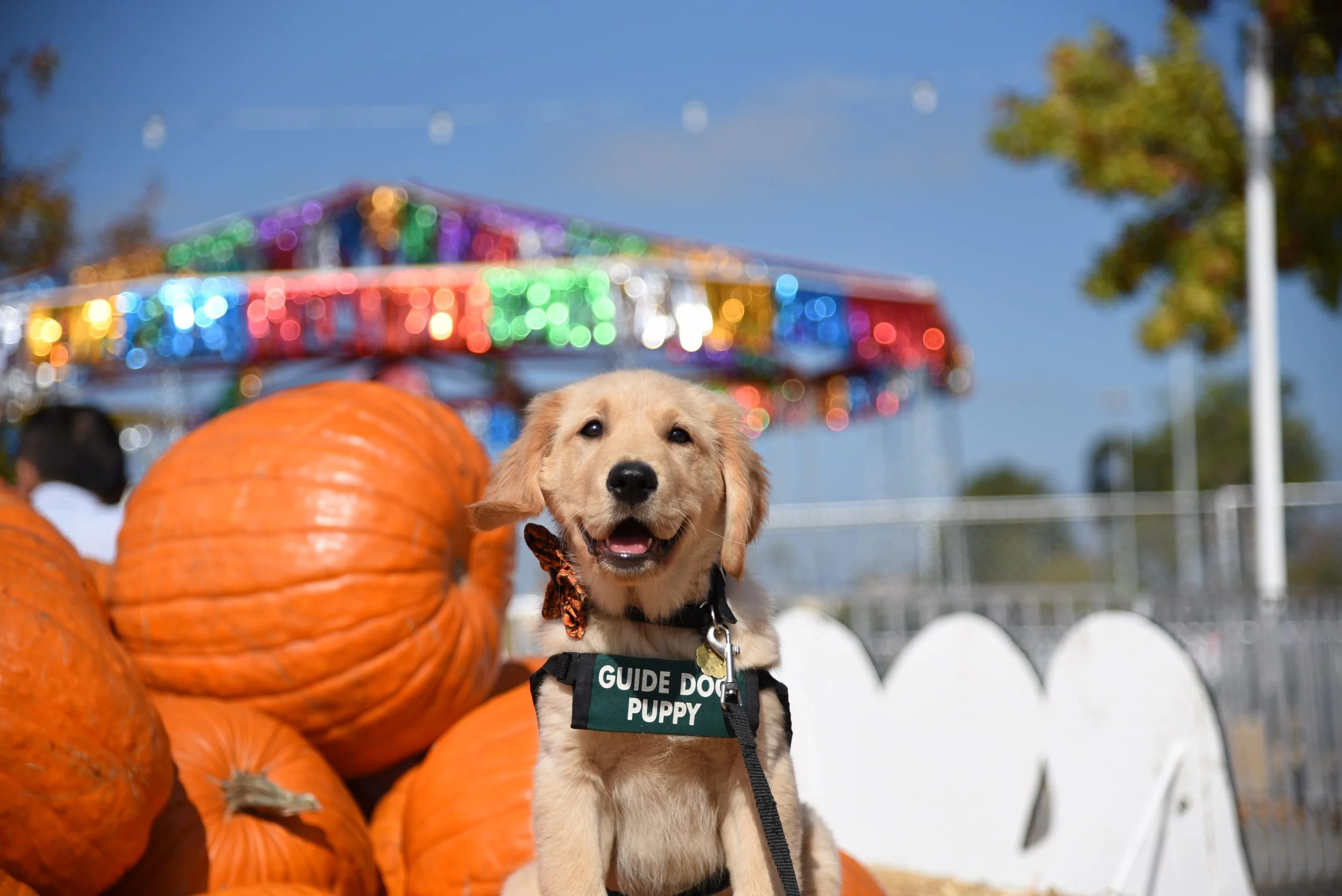 Club Meeting: Oak Grove Elementary School
