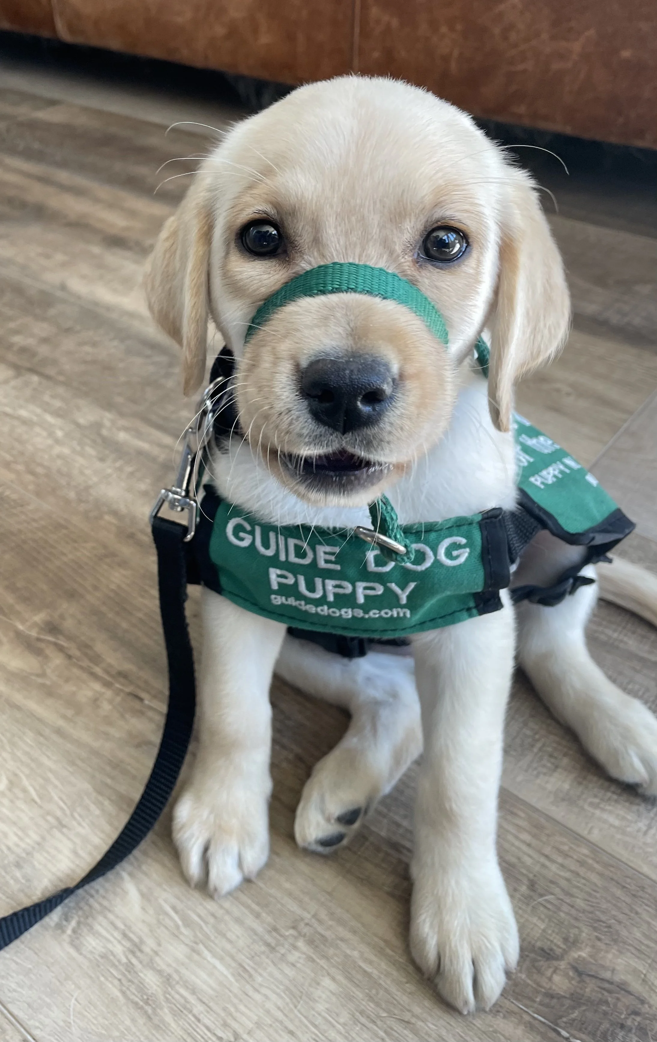 Club Outing: Home Depot