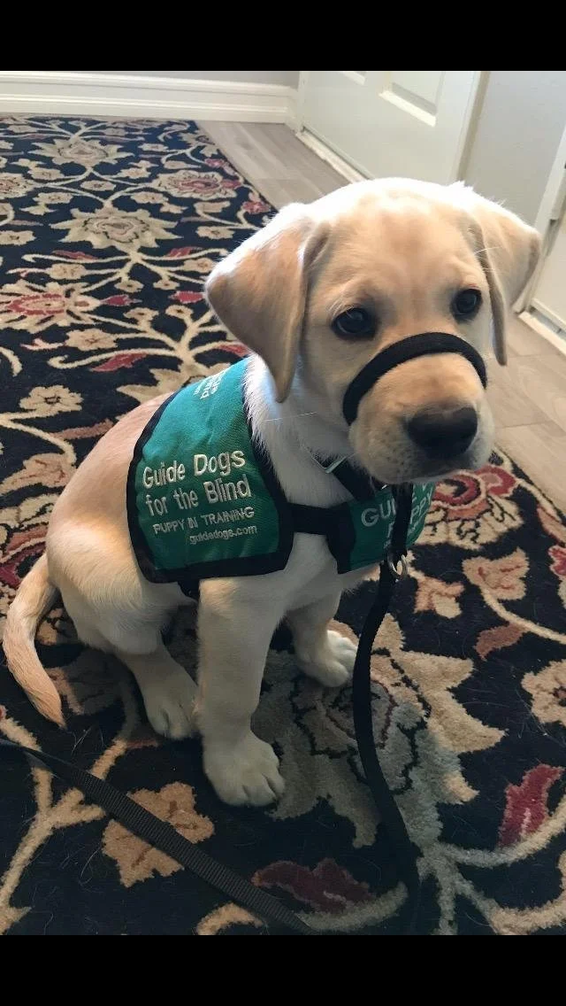 Club Outing: Mission Viejo Mall